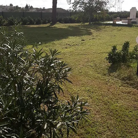 Tenuta Pizzi
