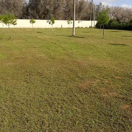 Tenuta Pizzi