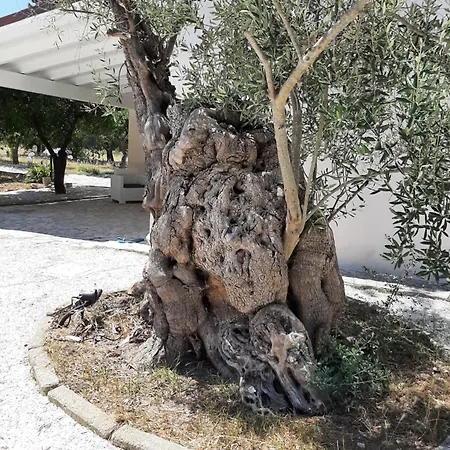 Holiday home Tenuta Pizzi *