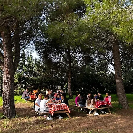 Tenuta Pizzi * سان بييترو فيرنوتيكو