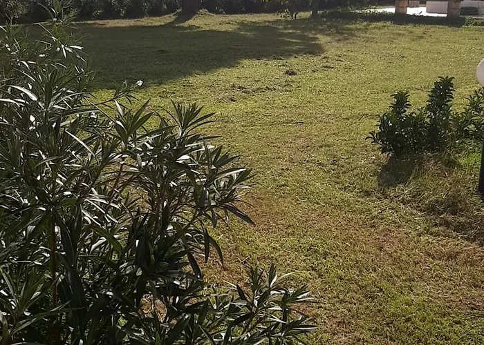 Tenuta Pizzi